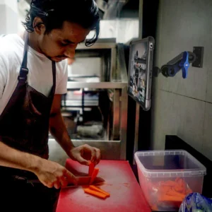 x p2t one lock ball joint mount armor x 5