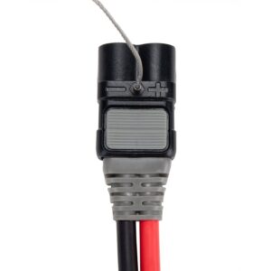 Plug 12V, 24V, 36V / 60Amp